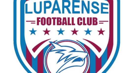 Luparense, Barchielli nuovo team manager per la scalata