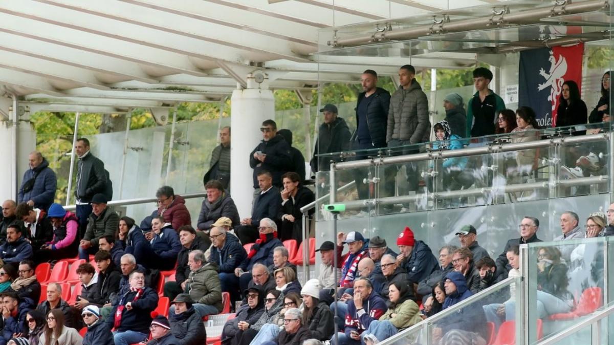 Imolese, società super ottimista sul ripescaggio in D: c'è già l'accordo col nuovo allenatore