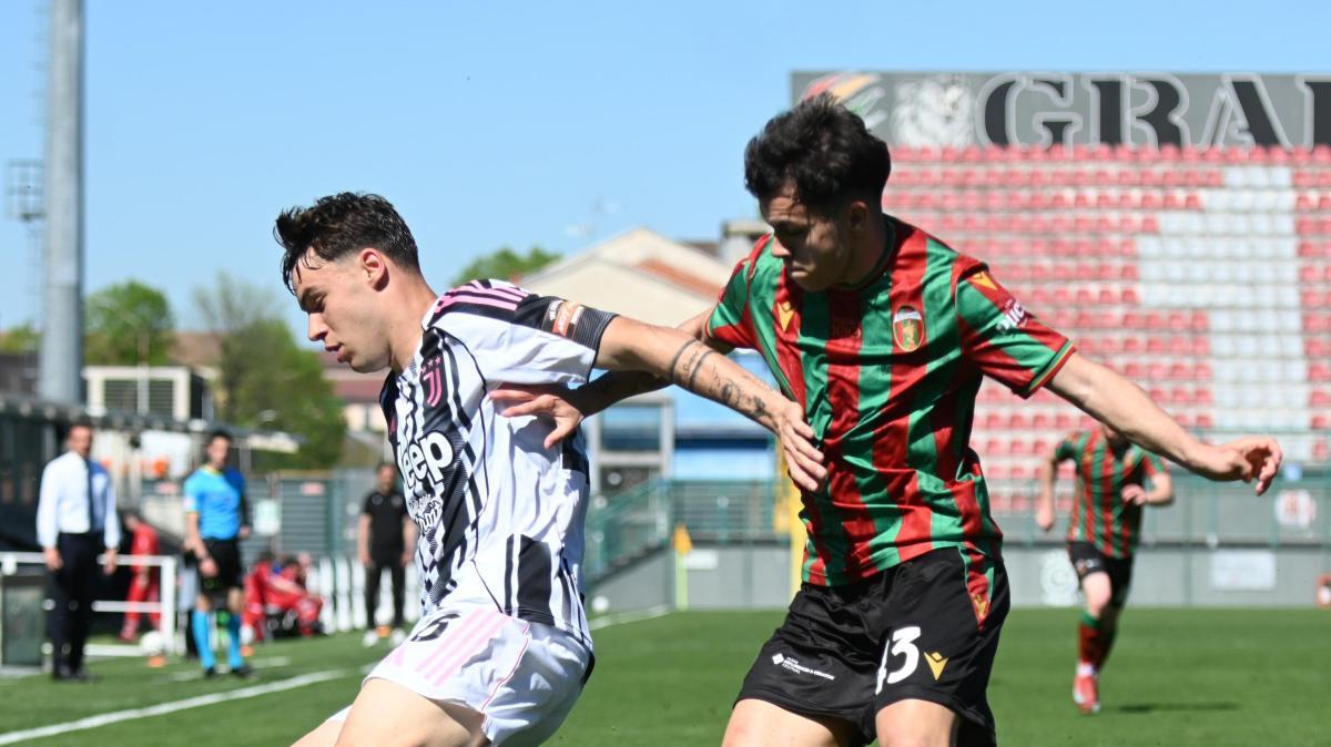 Cittadella vicino ad Angelo Ndreçka: l'ex Ternana a parametro zero