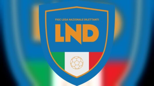 Serie D 2026/2027, la guida completa alle iscrizioni: documenti, costi e termini