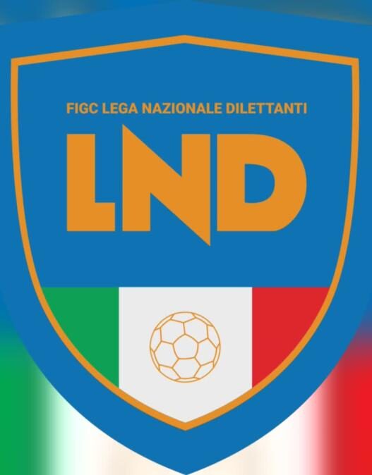 Serie D 2026/2027, la guida completa alle iscrizioni: documenti, costi e termini