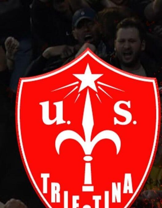 Triestina, la verità del club: "Nessun indagato e nessuna fideiussione presentata, ecco cosa sta succedendo"