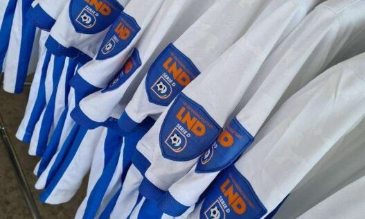 Serie D 2026-2027: l'organico prende forma, restano 7 posti
