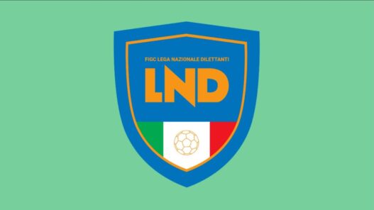 Serie D 2026-2027: Possibile rivoluzione nel Girone I