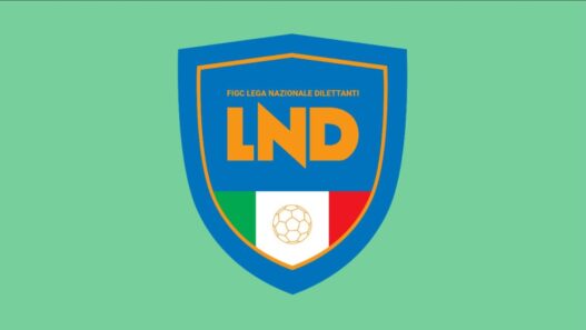 Serie D 2026-2027: Possibile rivoluzione nel Girone I