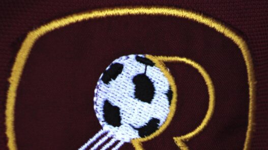 Reggina, closing completato: inizia l'era Lotito