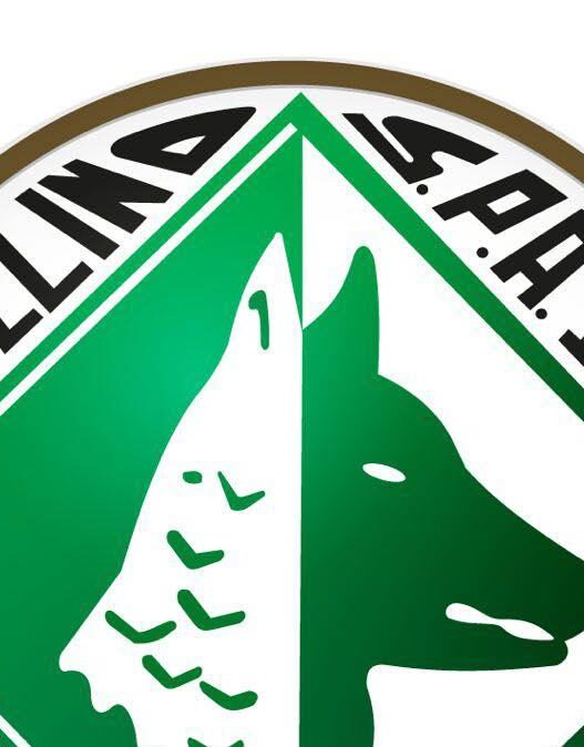 Avellino: Alessandro Nesta è il nuovo tecnico biancoverde