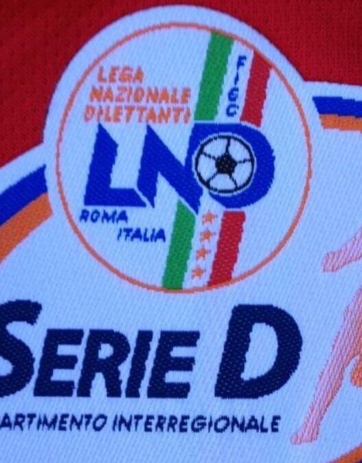 Serie D 2026-2027: definito l'organico completo con 161 società