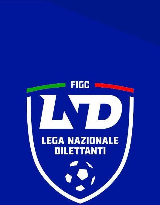 Serie D 2026/2027: ufficiali le date di inizio dei campionati
