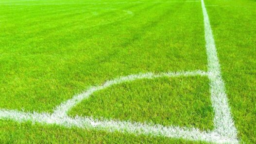 Campodarsego, poker di reti nell'allenamento congiunto con l'Albignasego