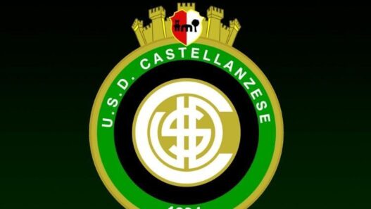 Castellanzese, ufficiale l'arrivo del portiere Binaghi dalla Pro Patria