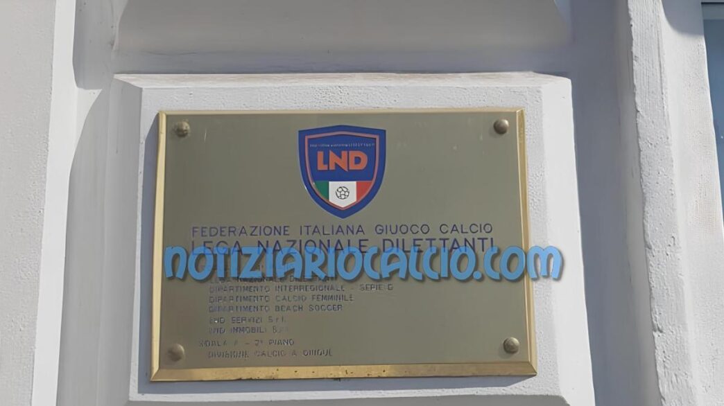 Serie D, Fasano escluso: i gironi domani