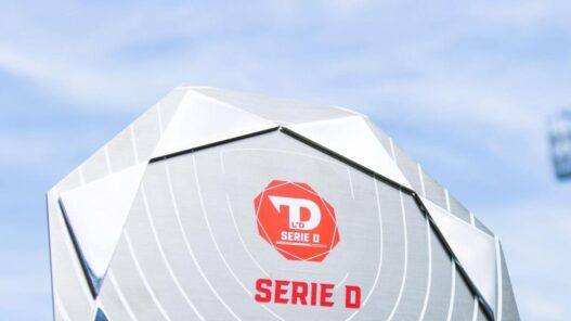 Serie D 2026/2027: 11 ricorsi accolti, Fasano escluso e 6 ripescaggi