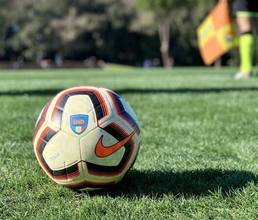 Serie D 2026/2027: ecco la composizione dei nove gironi