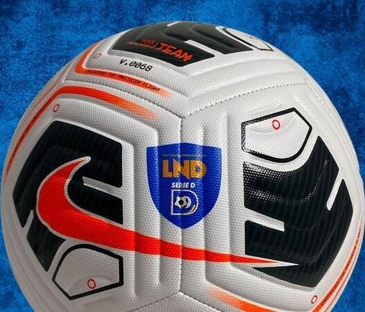 Serie D: il paradosso della valorizzazione dei giovani talenti
