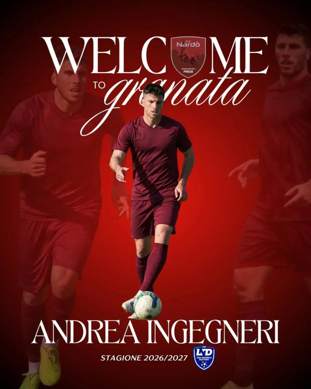 Nardò, ufficiale l'ingaggio del difensore Andrea Ingegneri