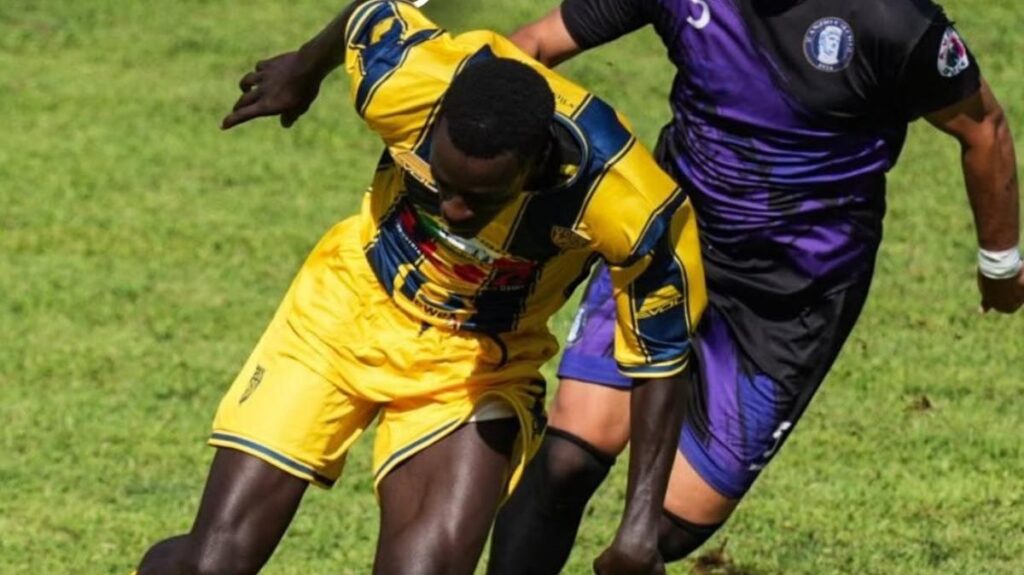 Serie D Girone G: Viterbese e Albalonga in vetta, pioggia di gol all'esordio