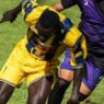 Serie D Girone G: Viterbese e Albalonga in vetta, pioggia di gol all'esordio