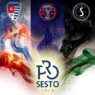 Pro Sesto, il progetto di Contini tra esperienza e giovani in Serie D
