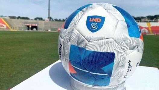 Reggina, la difesa resta impenetrabile: solo altre tre squadre come gli amaranto in Serie D