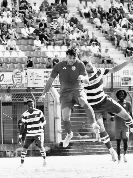 Serie D: le varesotte, tra sogni e solidità