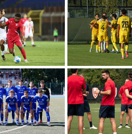 Serie D Girone D 2026/27: Pistoiese favorita, Pro Patria la sfidante