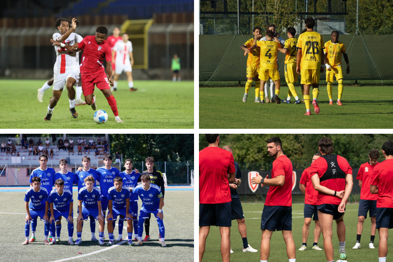 Serie D Girone D 2026/27: Pistoiese favorita, Pro Patria la sfidante