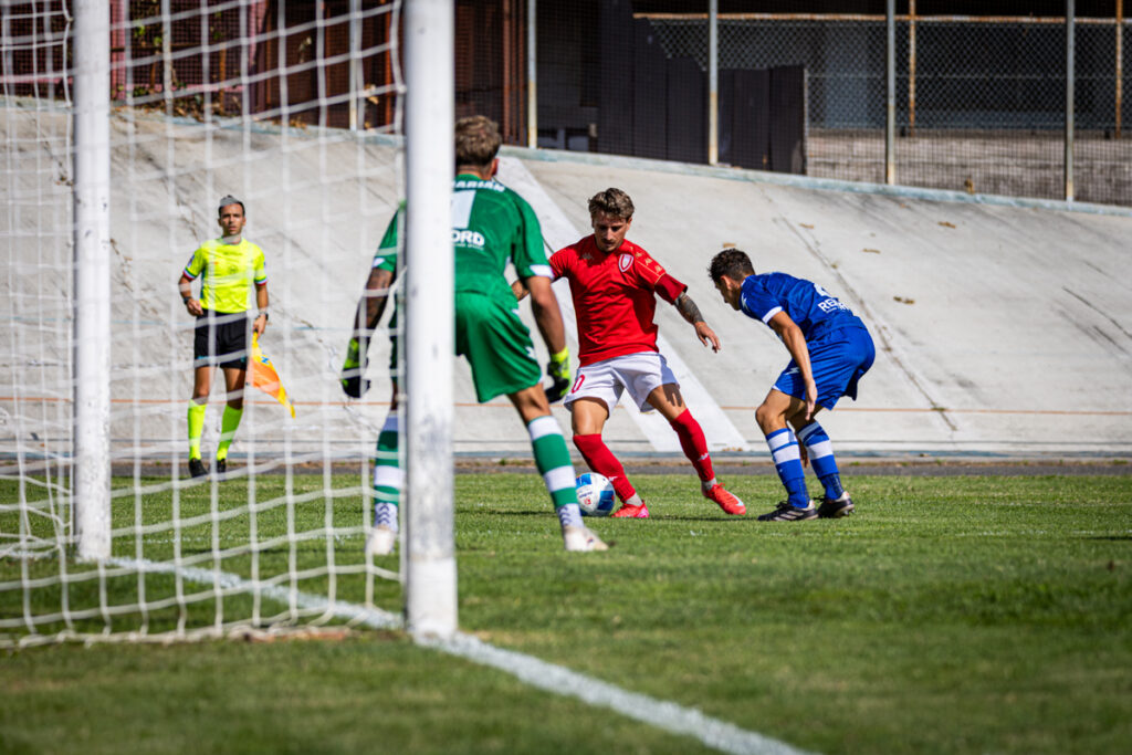 Serie D: Varese cerca riscatto, Pro Patria in vetta, Varesina e Solbiatese a caccia di punti