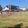 Coppa Italia Serie D: derby Varese-Pro Patria ai Trentaduesimi
