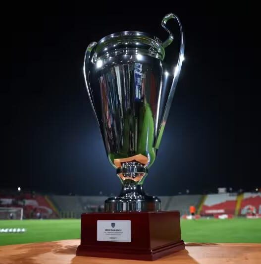 Coppa Italia Serie D: il quadro completo della competizione