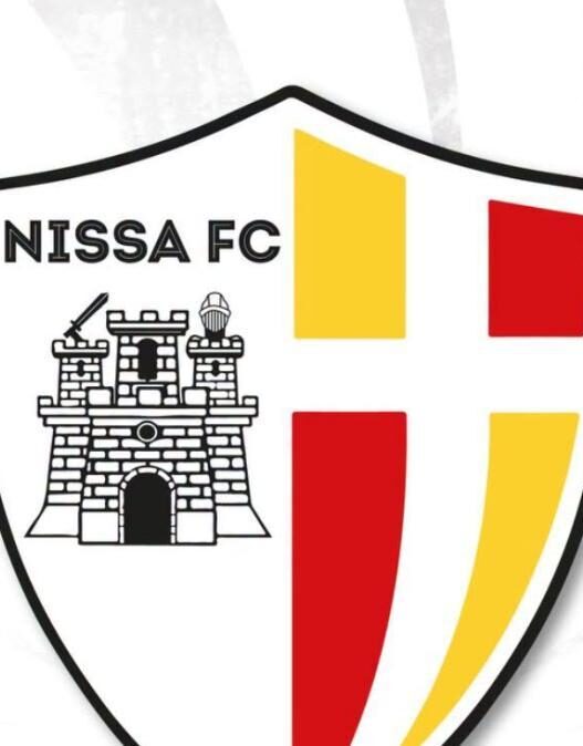 Nissa, smentita ufficiale: nessuna fusione o cambio di proprietà