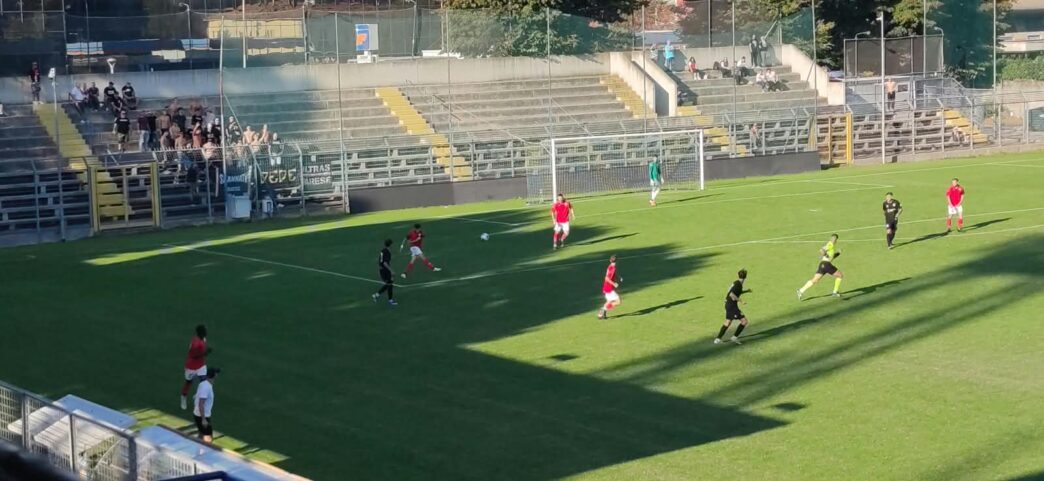 Serie D Girone D: Castellanzese vola, Varese e Pro Patria frenano