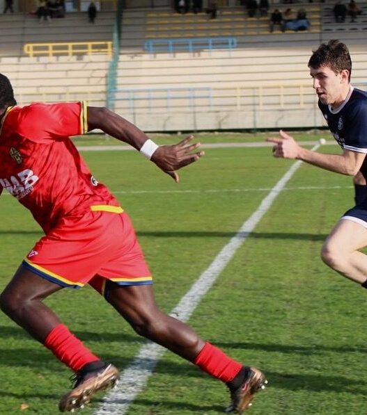 Trodica, Jallow vicino al ritorno nelle Marche