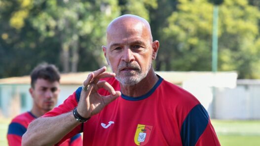 Maceratese, panchina Alfonsi confermata ma voci su Mosconi