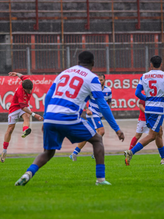Serie D, Girone D: Varese e Pro Patria cercano riscatto, Castellanzese punta al poker
